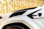 Lamborghini Urus Venatus by Mansory 2020 года
